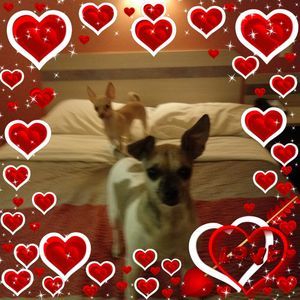 Meet your Posher, Regina